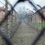Excursión a Auschwitz y las Minas de Sal de Wieliczka desde Cracovia